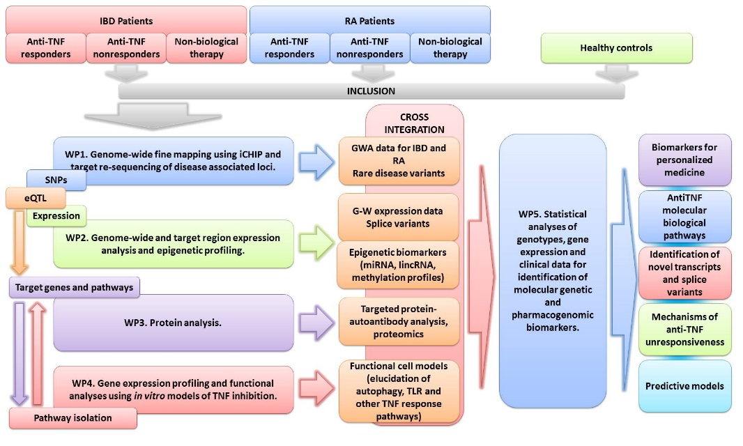 J3-9258 graphical summary