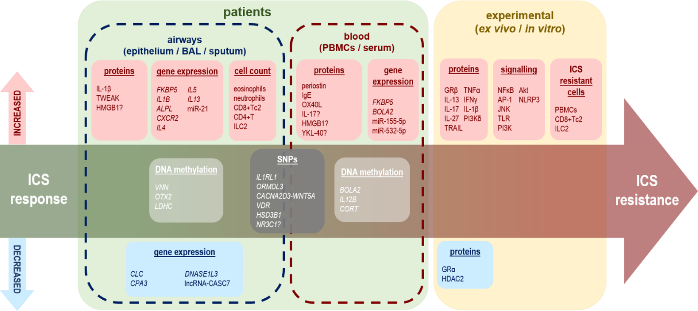 J3-4497 hypothesis flowchart