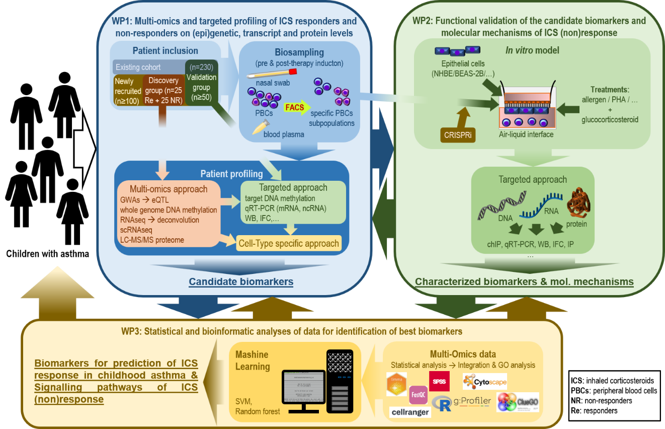 J3-4497 graphical summary